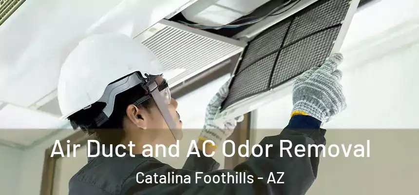Air Duct and AC Odor Removal Catalina Foothills - AZ