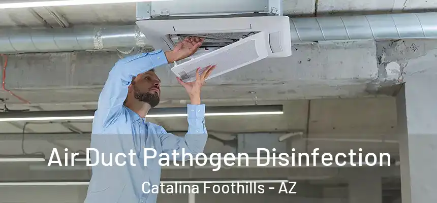 Air Duct Pathogen Disinfection Catalina Foothills - AZ