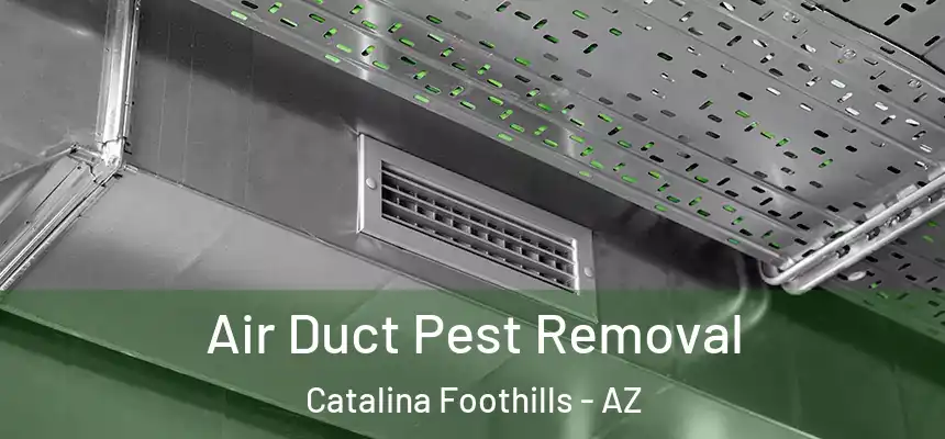 Air Duct Pest Removal Catalina Foothills - AZ