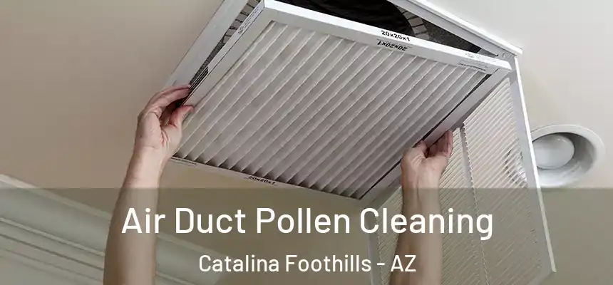 Air Duct Pollen Cleaning Catalina Foothills - AZ