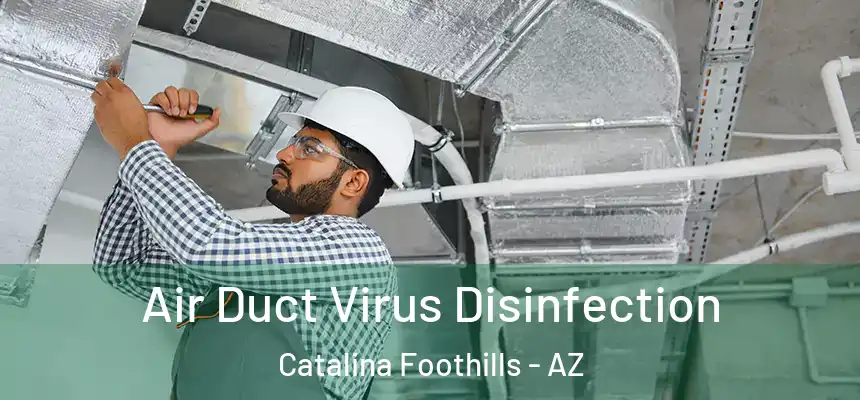  Air Duct Virus Disinfection Catalina Foothills - AZ