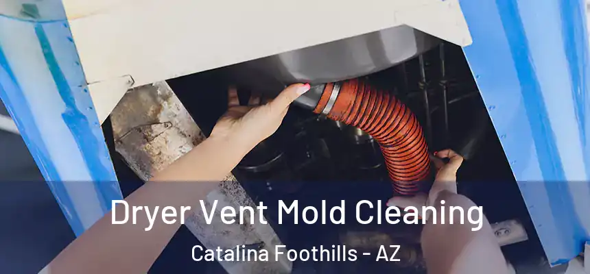Dryer Vent Mold Cleaning Catalina Foothills - AZ