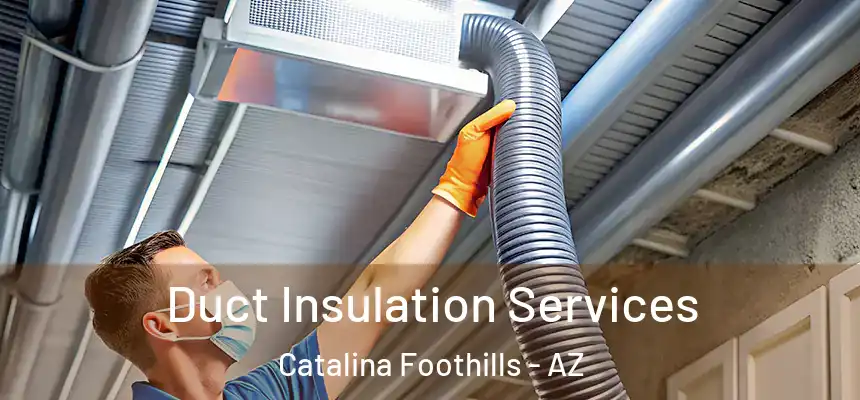 Duct Insulation Services Catalina Foothills - AZ