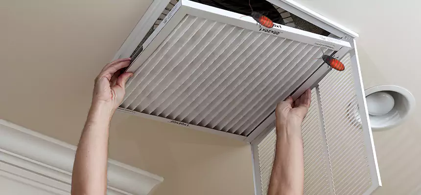 Preventive Cockroach-Proofing for Ducts in Catalina Foothills