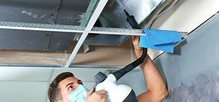 Our Air Duct Rodent Removal Services in Catalina Foothills, AZ