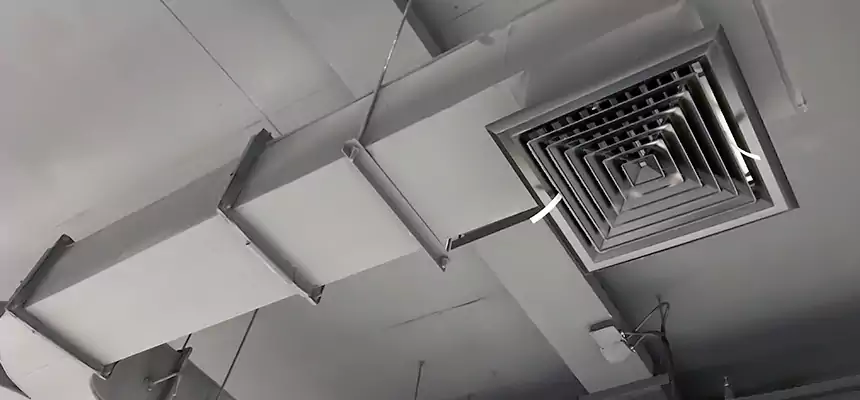 Restorative Allergy Relief Vent Cleaning – Coil, Blower & Housing Detail in Catalina Foothills