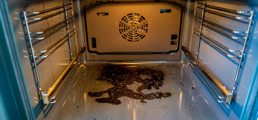 Our Dryer Vent Mold Cleaning Services in Catalina Foothills, AZ