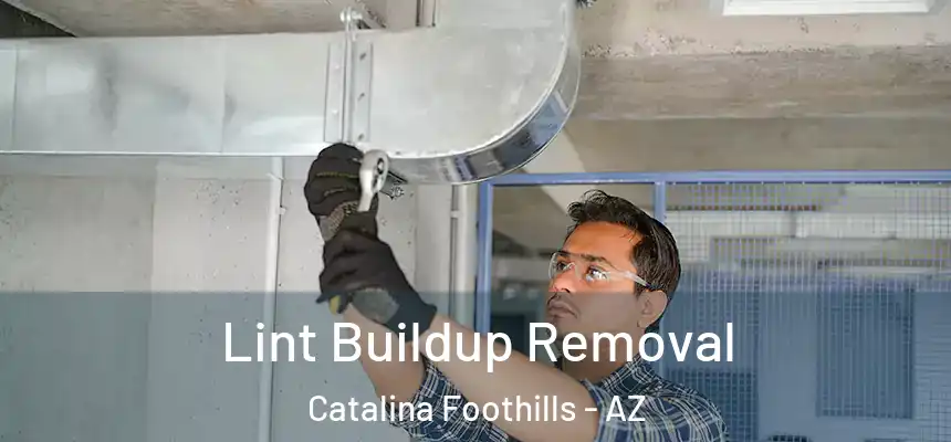 Lint Buildup Removal Catalina Foothills - AZ
