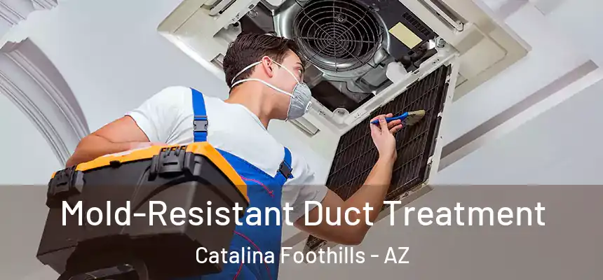  Mold-Resistant Duct Treatment Catalina Foothills - AZ