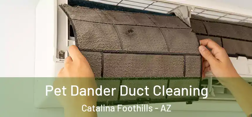  Pet Dander Duct Cleaning Catalina Foothills - AZ