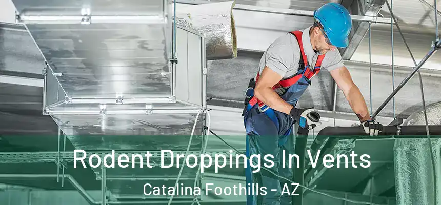  Rodent Droppings In Vents Catalina Foothills - AZ