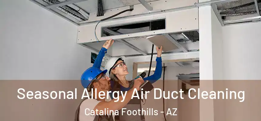  Seasonal Allergy Air Duct Cleaning Catalina Foothills - AZ