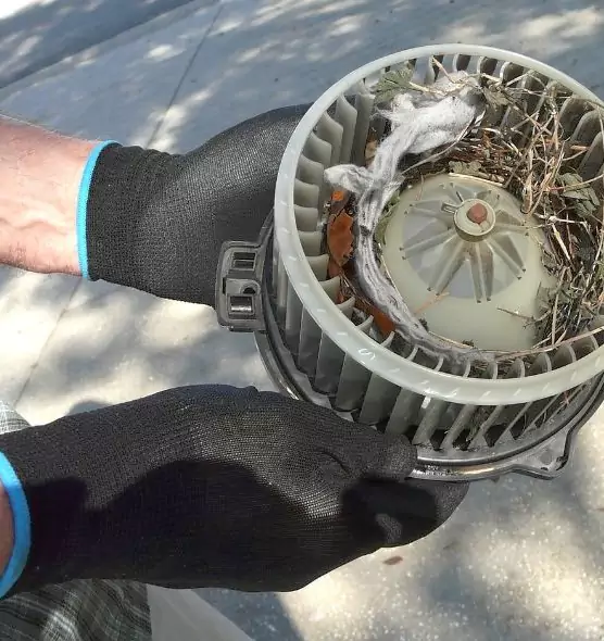 About Air Duct Rat Removal in Catalina Foothills, AZ