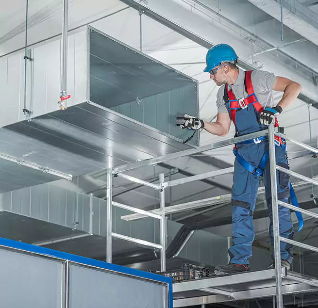 Why Homeowners Businesses Trust Us in Catalina Foothills, AZ