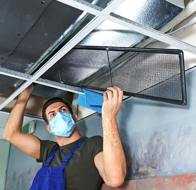 Why Homeowners & Businesses Trust Us in Catalina Foothills, AZ?