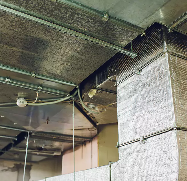 Why Homeowners & Businesses Trust Us in Catalina Foothills, AZ?