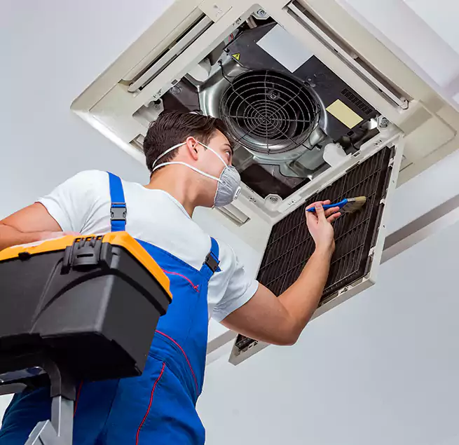 Why Homeowners & Businesses Trust Us in Catalina Foothills, AZ?