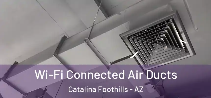 Wi-Fi Connected Air Ducts Catalina Foothills - AZ